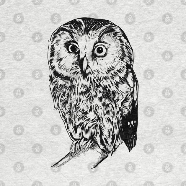 Line drawing - owl by Modern Medieval Design